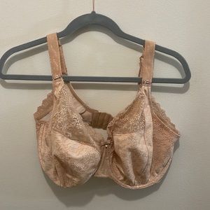 36 J lightly worn bra.